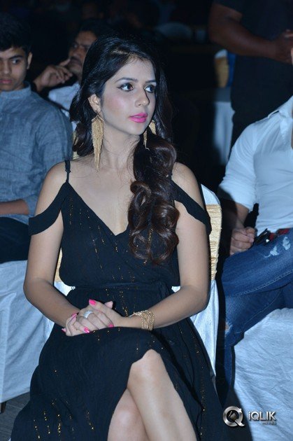 Rogue-Movie-Audio-Launch